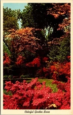 Colorful Garden Scene Flowers Trees Vintage Chrome Postcard CK409 Unused USA
