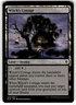 Witch's Cottage Throne of Eldraine Regular MTG