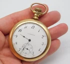 ANTIQUE ELGIN NATL WATCH CO GOLD FILLED CD PEACOCK RAILROAD POCKETWATCH RUNS