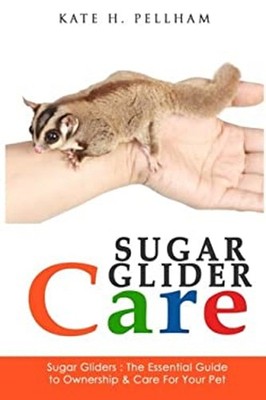 Sugar Gliders : The Essential Guide to Ownership and Care for You