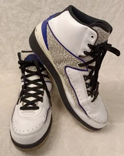 Nike Air Jordan 2 Retro Concord White/Purple 385475-153 Size 10.5