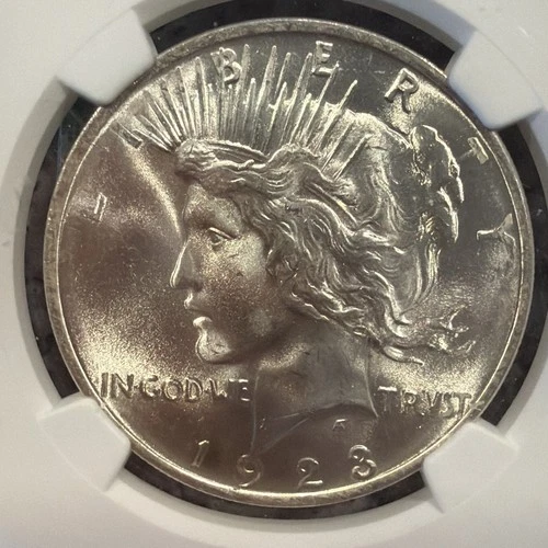 1923 Peace Dollar - $1 NGC MS66+ AMAZING COIN WORTH IT !!!   022405