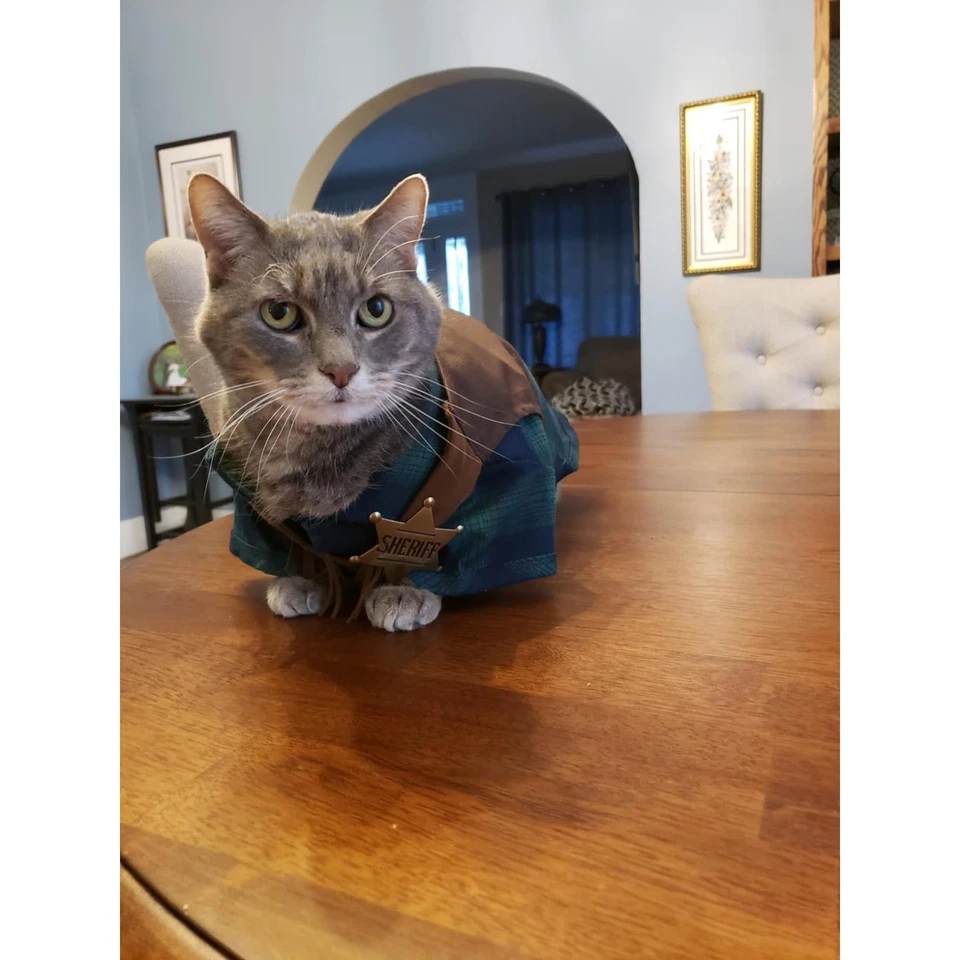 Insignia del Sheriff Occidental para Niños Adultos Favores de Fiesta Carnaval Premios Regalo Foto 3 de 4