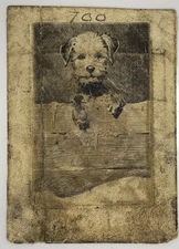 Morgan Dennis / Original Etching Plate for The Pup Also Known as So's Your Old