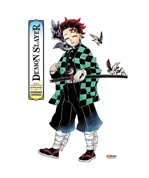 NONAME Demon Slayer - Artbook officiel: Au fil du Temps, recueil d'illustrations