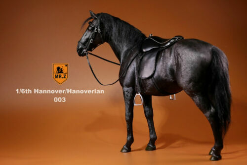 Figura MrZ 1/6 Alemania Hannover Caballo Hannover Animal Modelo Escala 12" EN STOCK - Imagen 30 de 46