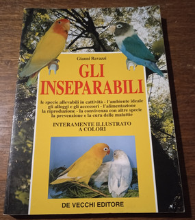 GLI INSEPARABILI_Gianni Ravazzi_ed.De Vecchi_1996_illustrato