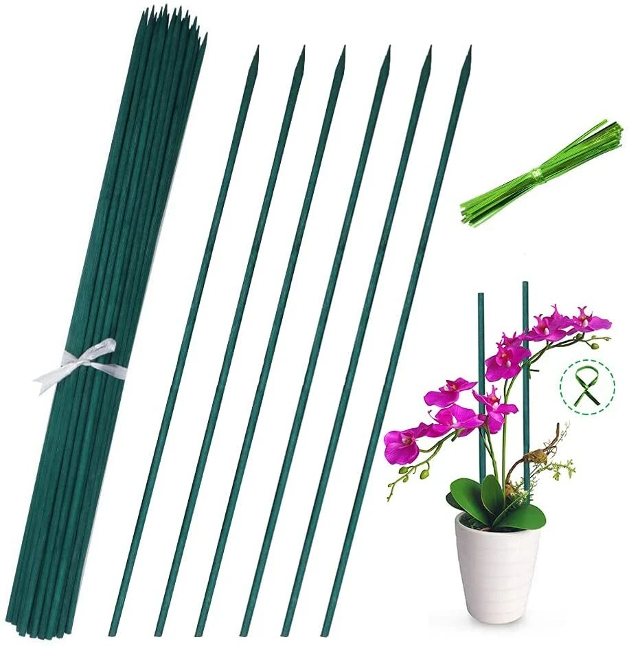 25pcs 20 Green Bamboo Plant Stakes, Plant Sticks Support, Floral Plant  Support