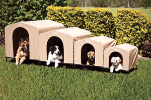 dog den dog house