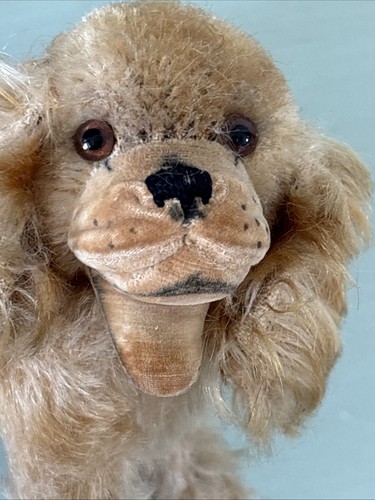 Vintage Stuffed Animal Steiff Germany Toy Mohair Cockie Cocker Spaniel Dog NoTag - Picture 16 of 24