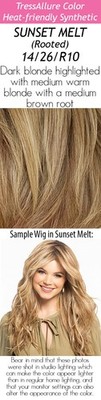 SLEEK & STRAIGHT Wig by TRESSALLURE *Any Color* Heat Friendly!  NEW