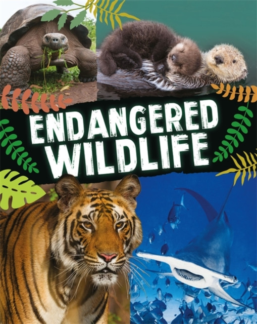 Endangered Wildlife by Anita Ganeri (Hardback Book)