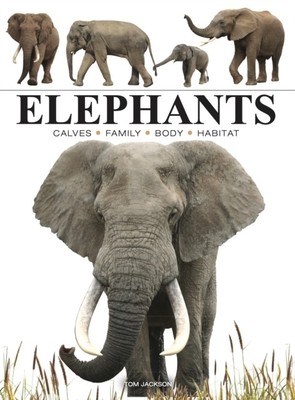 Elephants by Tom Jackson (Paperback Book)
