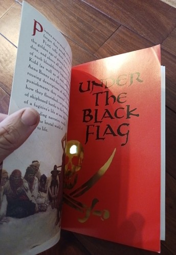 Under the Black Flag: The Romance And The Reality - Picture 7 of 12
