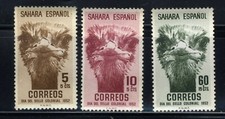 1952 Spanish Sahara Ostrich🐦 Stamp Scott B22-24 SP4  MNH OG 