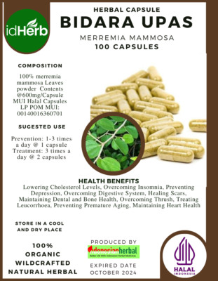 [idHerb] CAPSULES BIDARA UPAS MERREMIA MAMMOSA NATURAL ORGANIC HERBAL HERBS