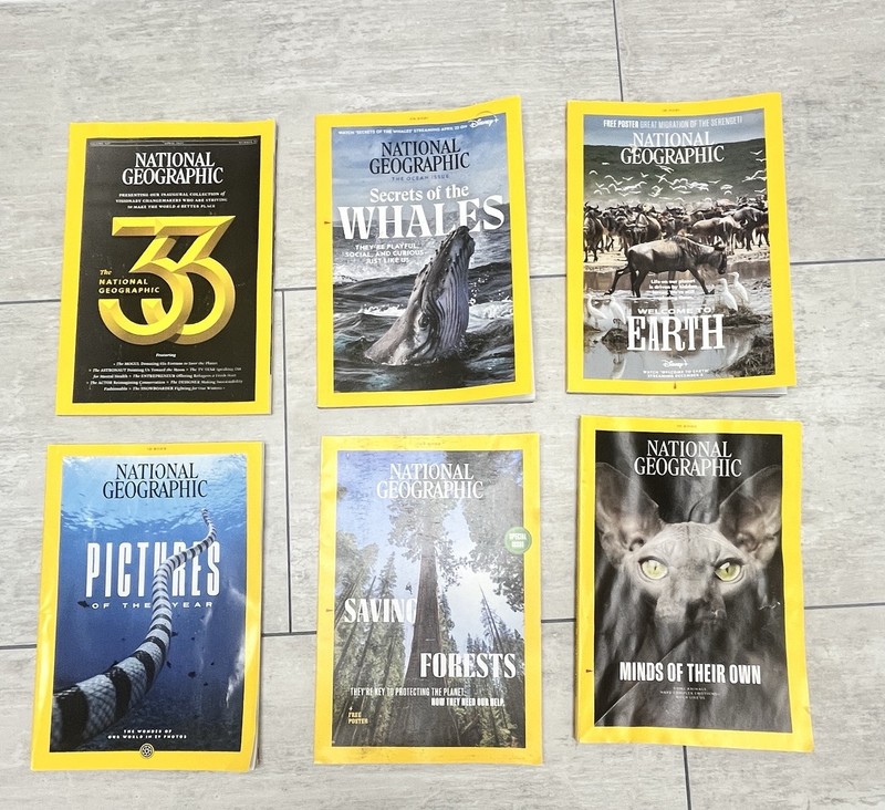 National Geographic Magazine Lot Of 20, 2017 To 2025