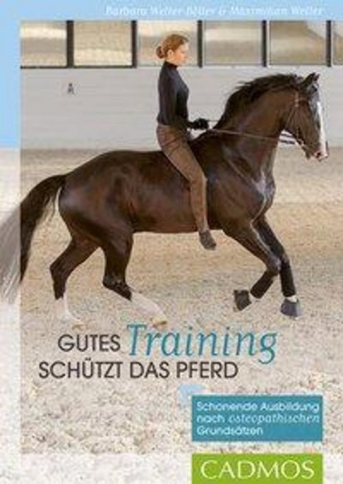 Thumbnail - Gutes Training Schützt Das Pferd, Barbara Welter-böller