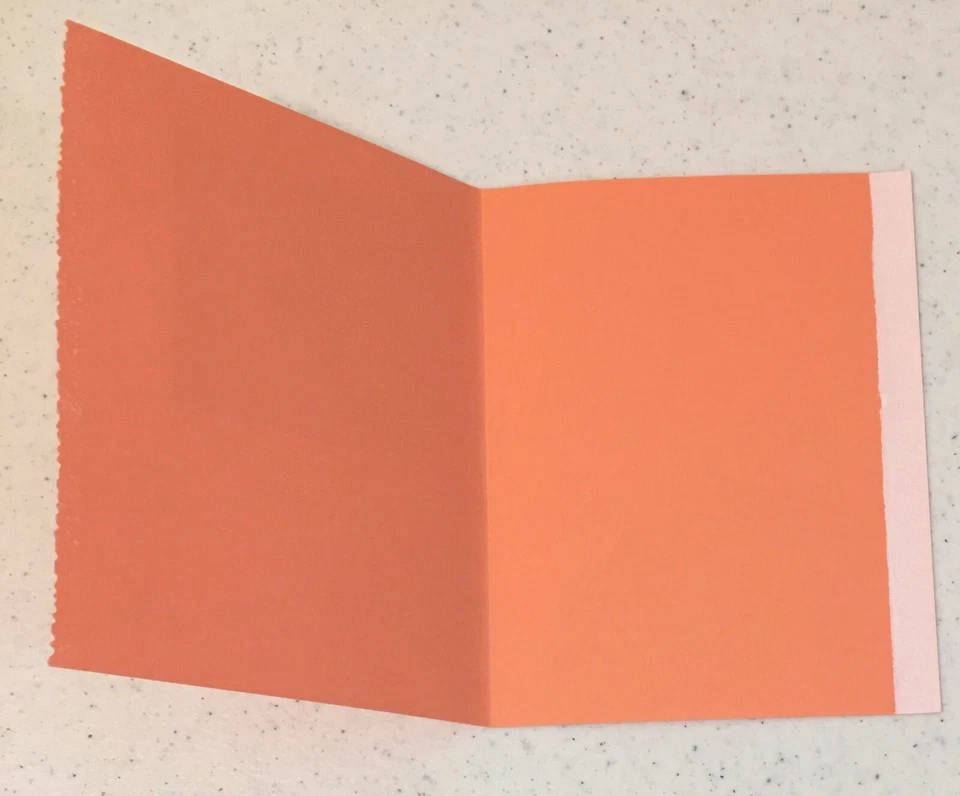 Sea Shells Thinking Of You Handmade Card Blank Inside W Envelope CandD - Image 2 of 2