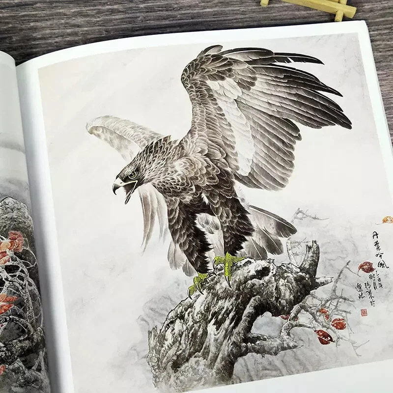 Libro de referencia de tatuaje flash boceto águila halcón pintura caligrafía china Foto 2 de 4