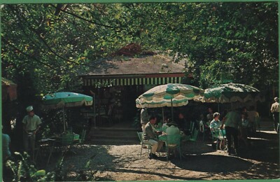 Vintage Oregon OR Postcard Dining Terrace Singing Springs Ranch Agness OR #2