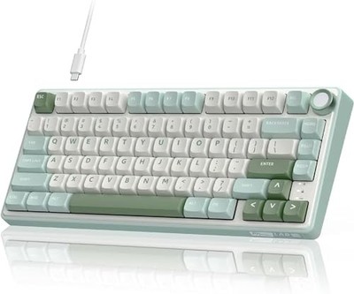 RK ROYAL KLUDGE R75 Mechanical Keyboard Wired with Volumn Regler, 75% TKL Custom