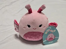 Squishmallows Velvet Squad Mogo the Pink Butterfly 5" Plush Toy 