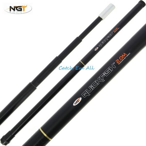 NGT 2m Telescopic Fishing Net