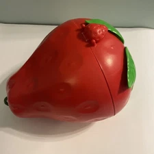 Vintage 1980 Strawberry Shortcake Doll Carrying Case By American Greetings Corp