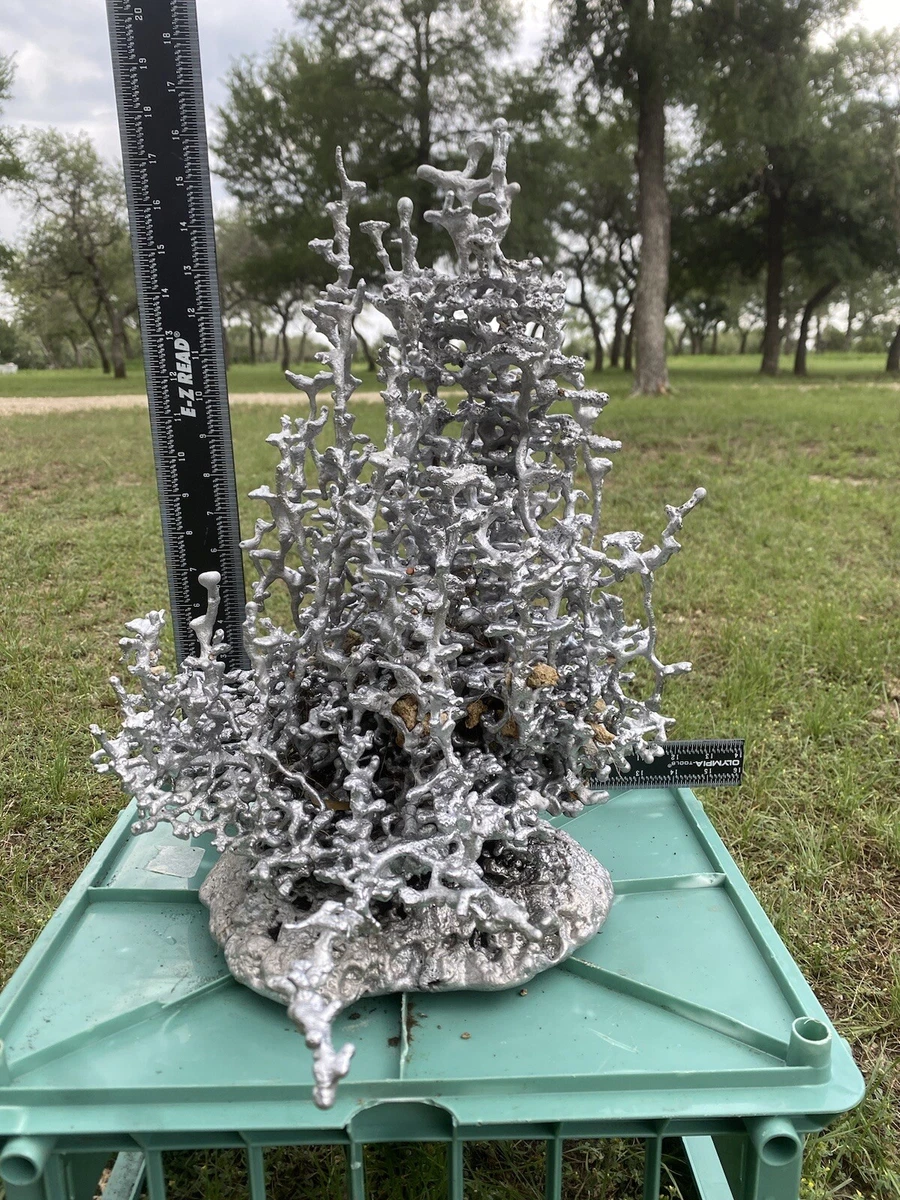 Casting An Aluminum Anthill Steps (with Pictures), 57 OFF