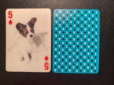 swap playing cards  DOGS  Special Effects  3D  Five of Diamonds