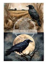 Crow Lover's Duo | A4 Rice Paper | Paper for Decoupage | Decoupage Central