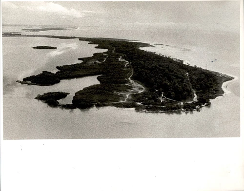 LG76 1979 Original Steve Hasel Photo AERIAL VIEW SOUTH ACROSS HONEYMOON ISLAND