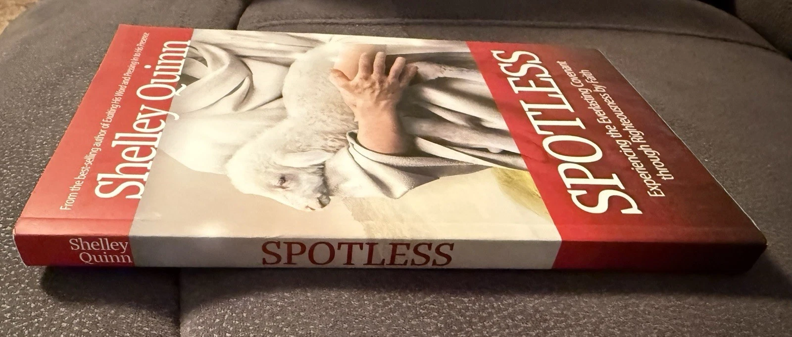 Spotless by Shelley Quinn 2023 3ABN Books First Edition SDA PB image 3