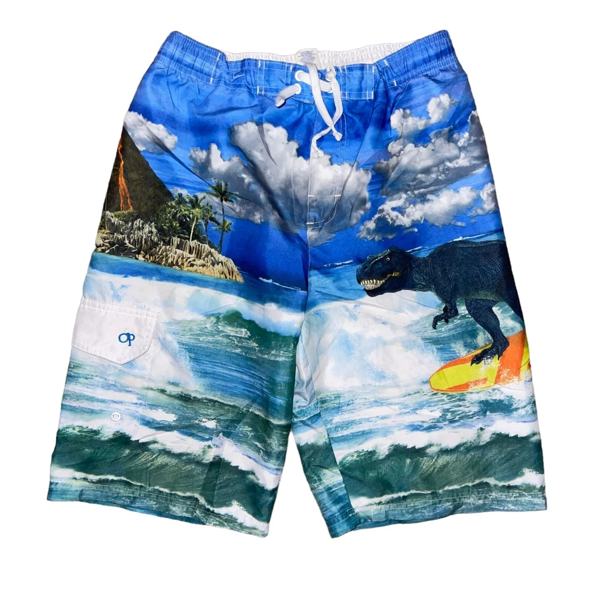 Big boys hotsell swim trunks