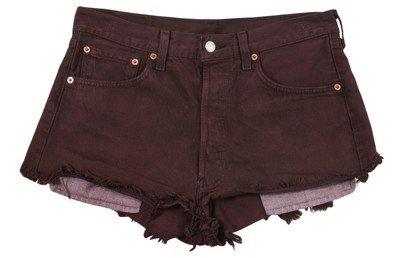 Levi's WPL 423 Denim Shorts Women's Raw 