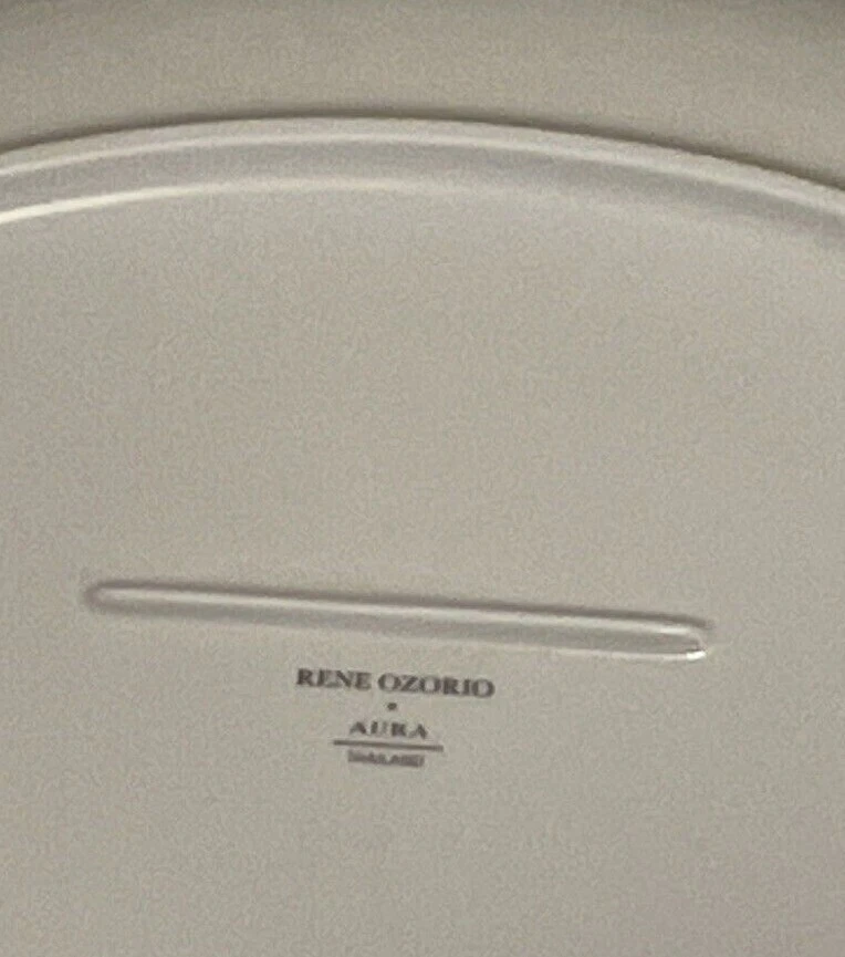 Rene Ozorio Steelite Aura 14 英寸椭圆形板/拼盘 - 批量 3 件 全新 免运费 — 第 2/4 张图片