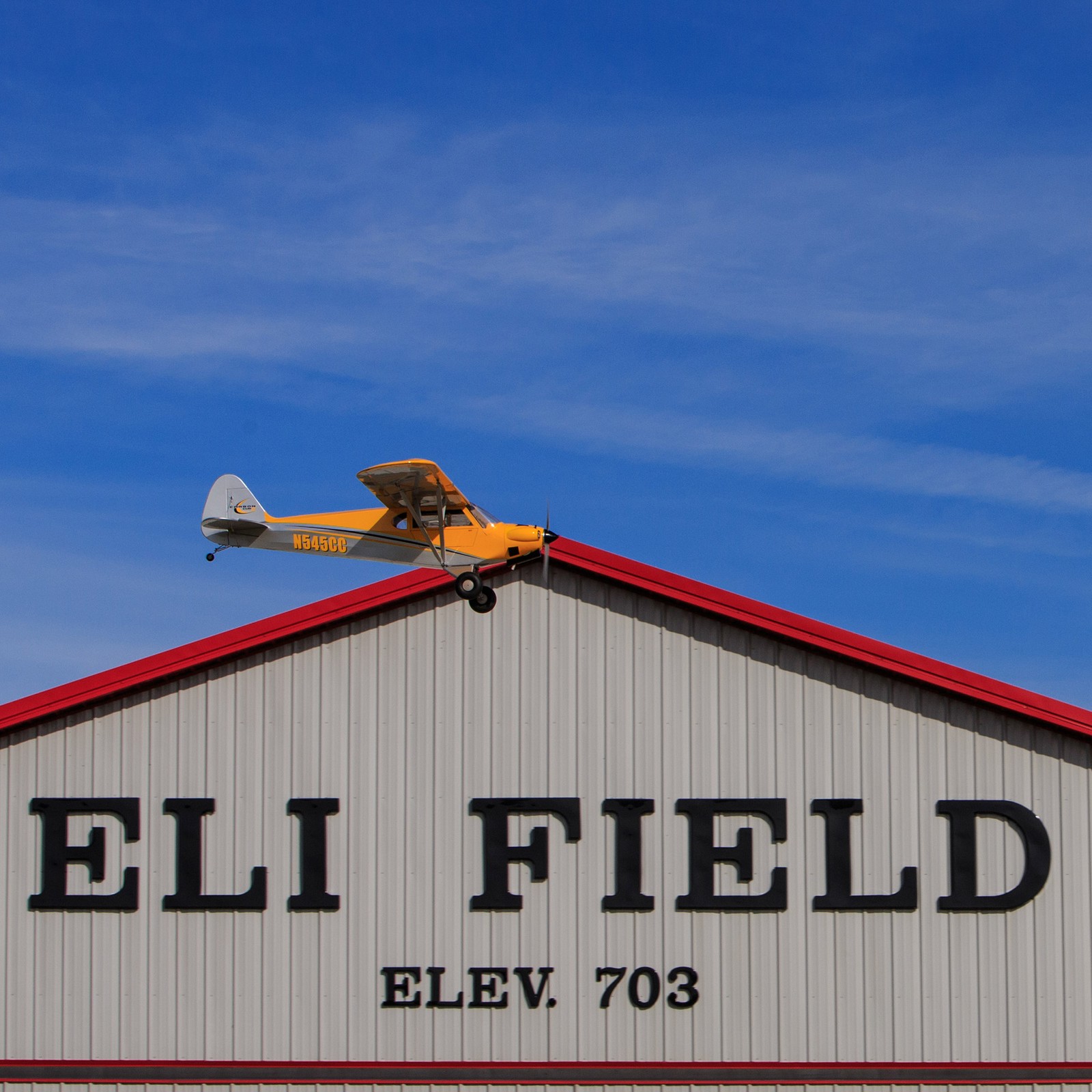 Hangar 9 Carbon Cub 15cc ARF HAN5065 Airplanes ARF Giant