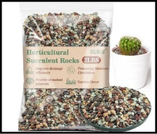 2LBS Horticultural Succulent Rocks Bonsai Mix Succulent Potting Mix Lava Rocks C