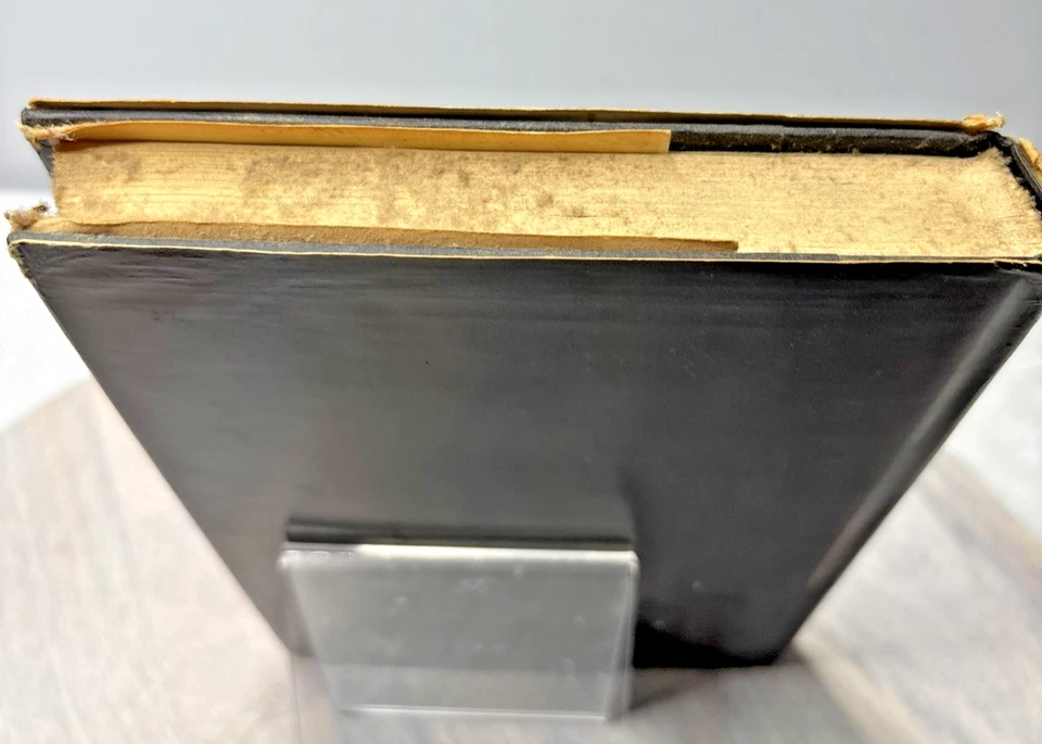 If There Be Thorns – V.C. Andrews 1981 Hardcover w/ Dust Jacket – Gothic Family - Image 4 of 4