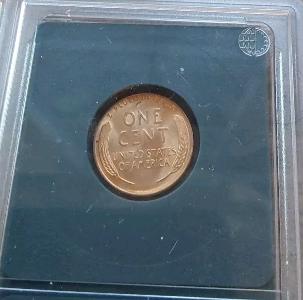 Picture 4 of 5
