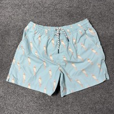 American Eagle Outfitters Shorts Mens Medium Blue Parrot Swim Trunks Mesh Lined