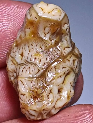 100% Natural Mongolia Gobi Agate Eyes Agate/stone Collection Specimen