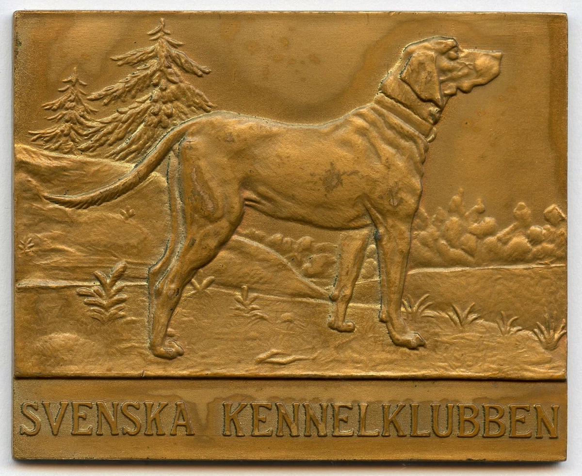 Kennel club bronze clearance award