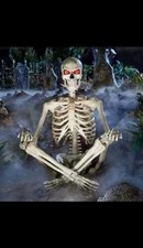 5ft Foot Ultra Poseable Skeleton Led Home Accents Home Depot Halloween New