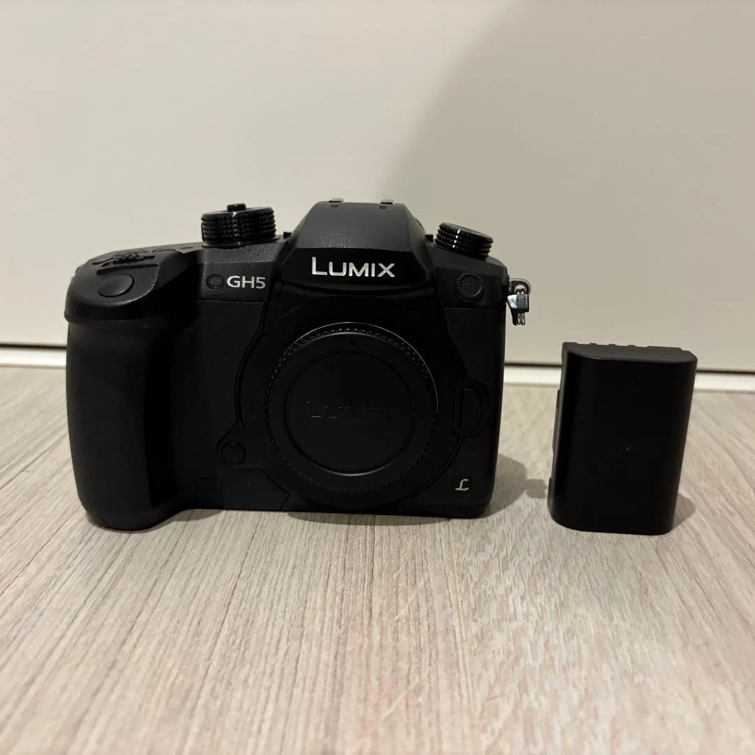 Panasonic LUMIX GH5 Digital Cameras for sale | eBay