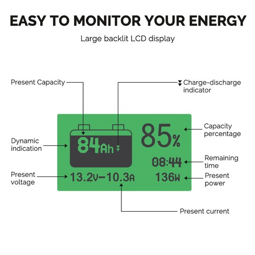 Renogy 100/200/300Ah 12V LiFePO4 Lithium Leisure Battery or Battery Monitor - Picture 7 of 32