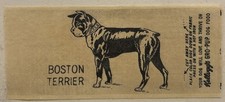 Original Vintage Antique Boston Terrier Dog Iron On Transfer