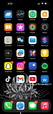 iPhone 15 Plus With TikTok 