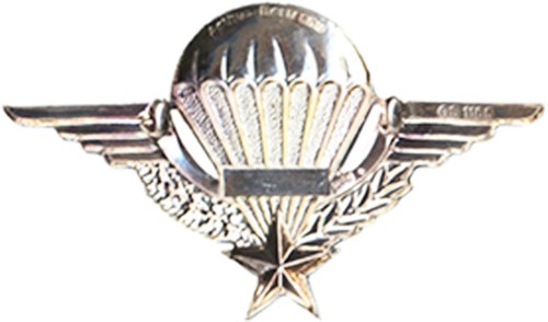 BREVET PARACHUTISTE LEGION ETRANGERE, EN ARGENT MASSIF A.B 1185 (1013) - Imagen 2 de 2